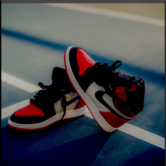 Meet your Posher, Sage - Picture 1 of 1